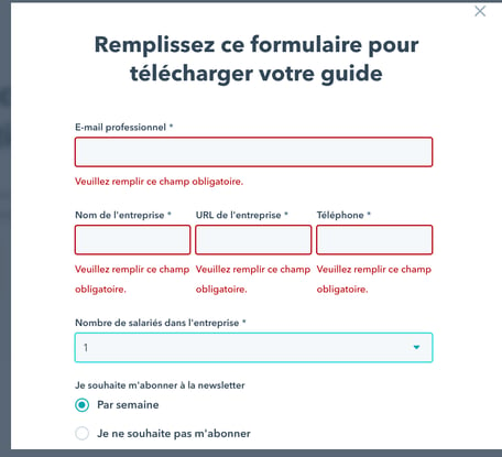 Formulaire HubSpot pour obtenir un Contenu Premium